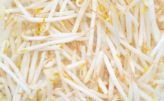 価格高騰の救世主「もやし」の簡単レシピまとめ