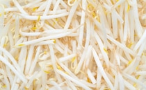 価格高騰の救世主「もやし」の簡単レシピまとめ