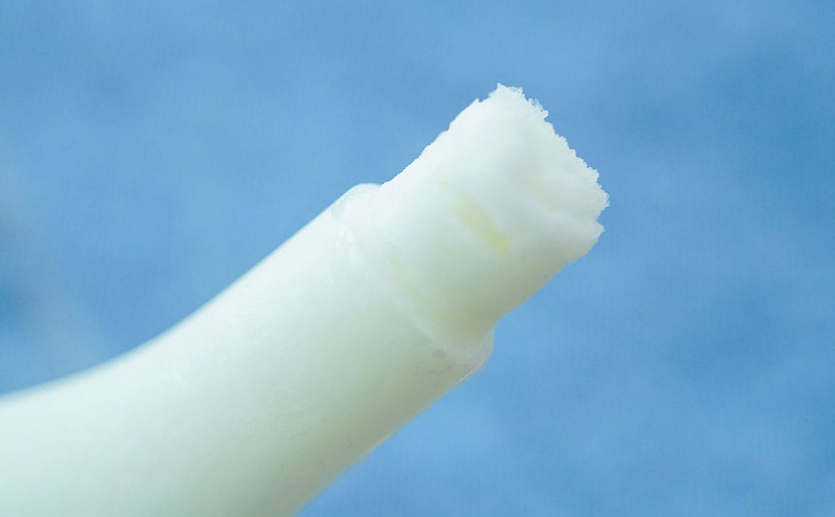 女王再び降臨!激うますぎた「パピコ」復活