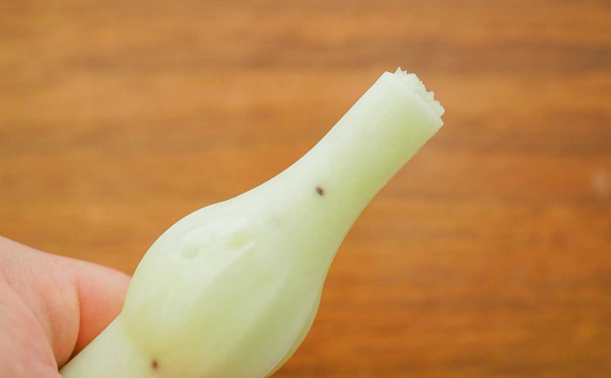 「果肉入ってる」「ガチでうまい」期間限定『パピコ』は毎日食べたい味