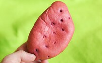 “条件あり”だけど…話題の韓国グルメ『コグマパン』がローソンに登場