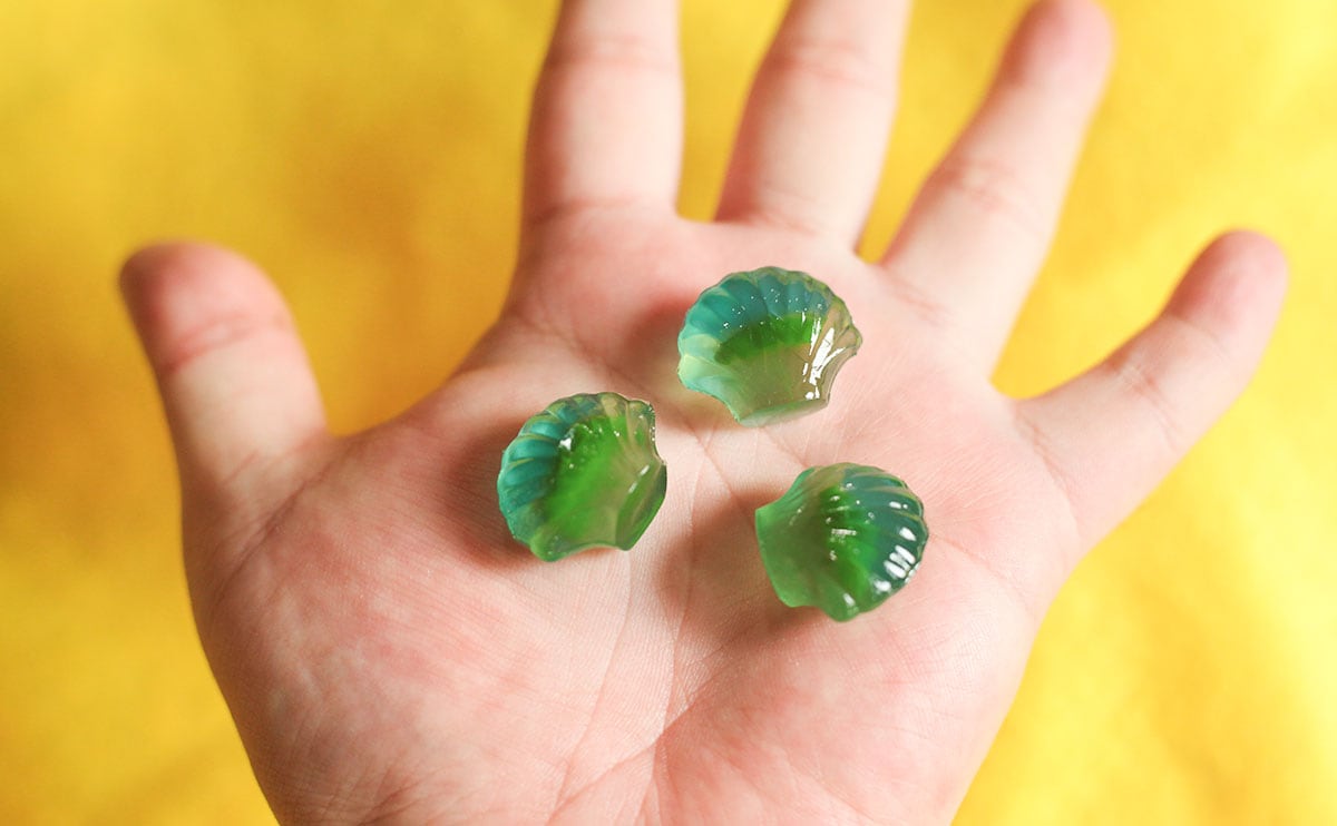 海モチーフで涼しげ。“食べられる貝殻”がキラキラかわいい