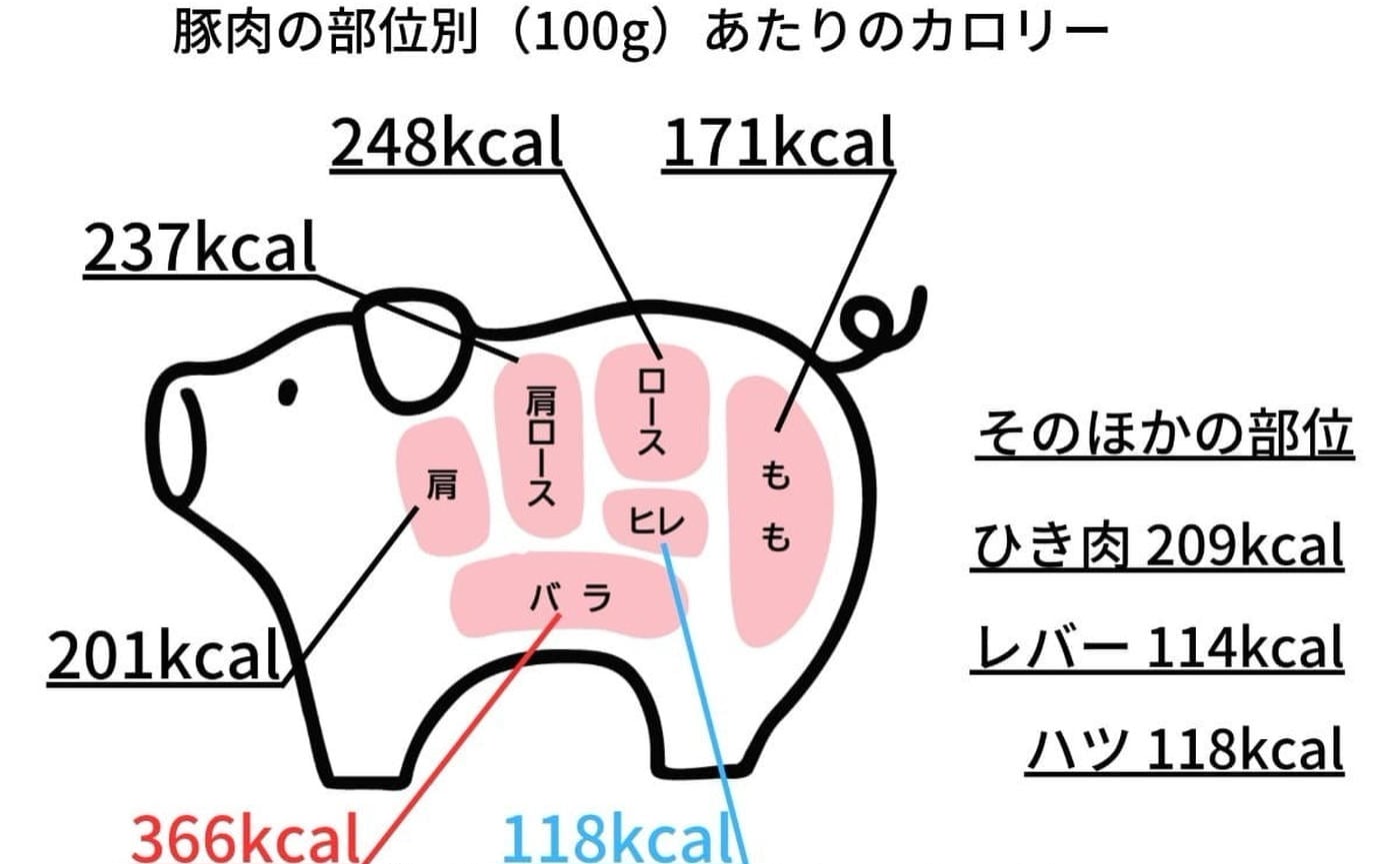 【豚肉の部位ごとのカロリー】低い部位やほかの肉との比較を管理栄養士が解説