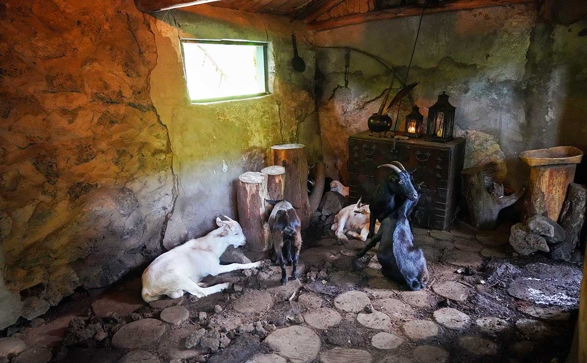 日本人はまだ知らない!?韓国の人気観光スポット【秘密の森】とは