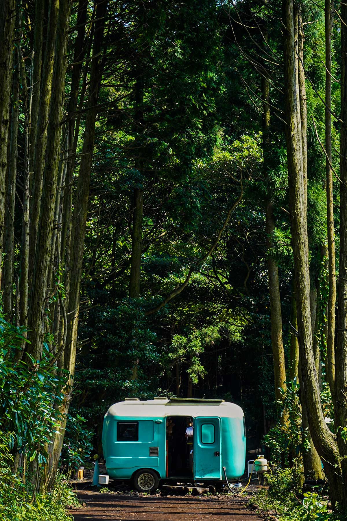 日本人はまだ知らない!?韓国の人気観光スポット【秘密の森】とは