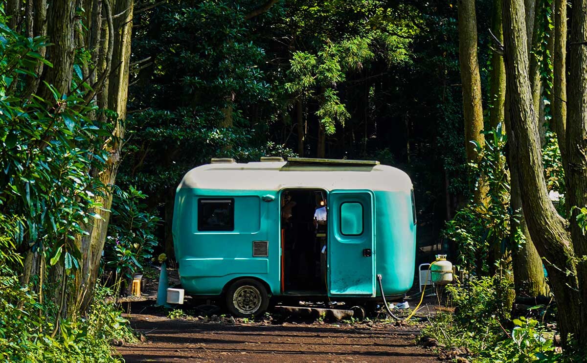 日本人はまだ知らない!?韓国の人気観光スポット【秘密の森】とは