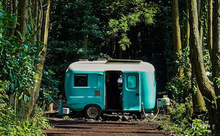 日本人はまだ知らない!?韓国の人気観光スポット【秘密の森】とは