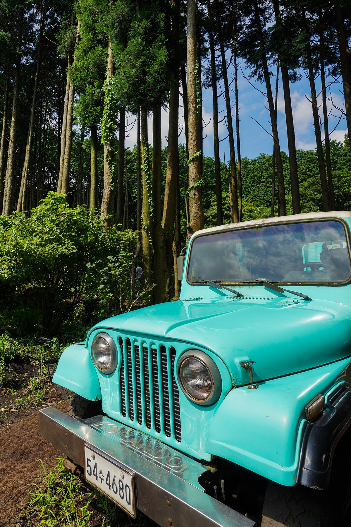 日本人はまだ知らない!?韓国の人気観光スポット【秘密の森】とは