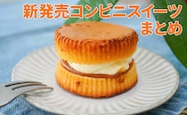 【12/8更新】本当に美味しい「コンビニスイーツ」最新リスト