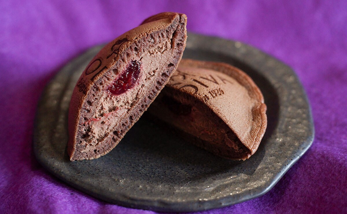 「感動」「神」大絶賛されている今だけの特別な『どらもっち』とは