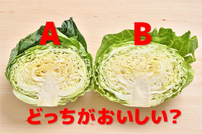 【超難問！野菜クイズ】「アナタならどっちのキャベツを選ぶ？」注目すべきは…真ん中の辺り!?【青髪のテツ】