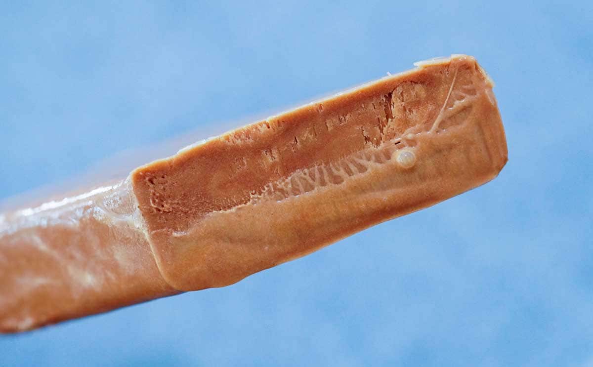 「最高にうまい」セブンで発売された170円アイスとは