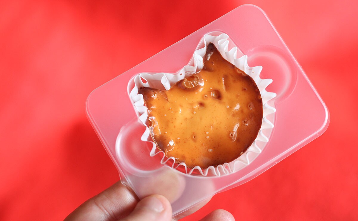 「かわいい」「おいしい」毎年恒例(?)の『チーズケーキ』が今年も