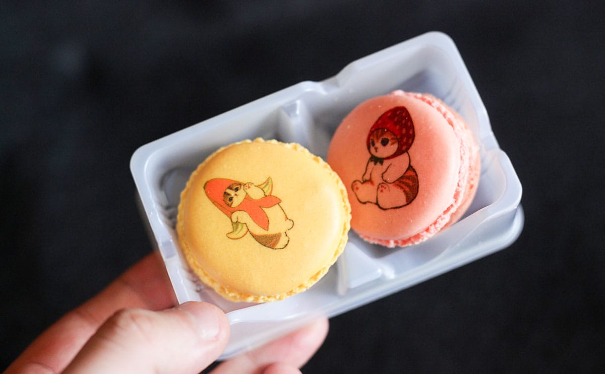 「かわいすぎる」「パケ買いした」ファミマの“かわうま”スイーツ『マカニャン』