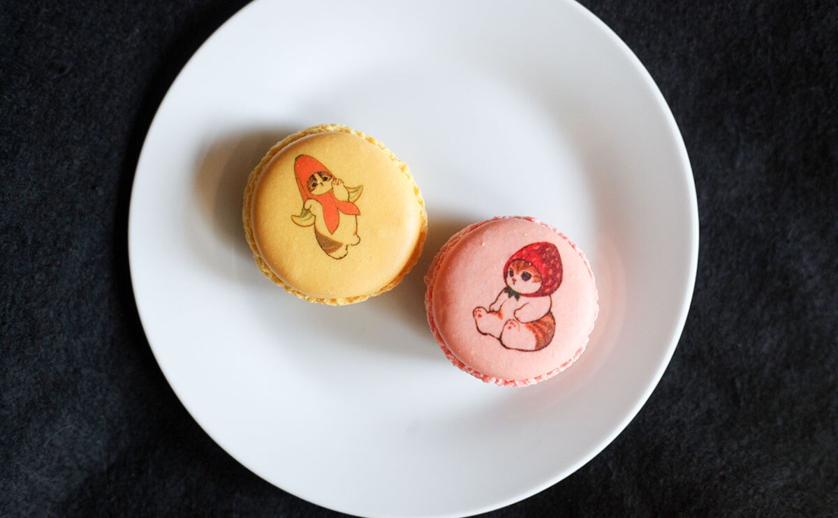 「かわいすぎる」「パケ買いした」ファミマの“かわうま”スイーツ『マカニャン』