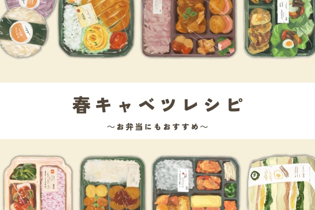 【お弁当にも】ふんわり　おいしい　春キャベツレシピ