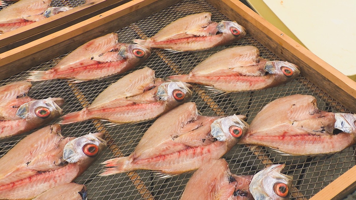 港町の風情漂う通りで見つけた「桝谷鮮魚店」。1つ1つ手作りの干物が店内で食べられる！お土産にも◎｜松江市