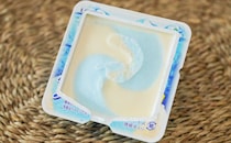 「ガチうまい」「一番好きなアイス」【ロングセラーアイス】3月発売の注目商品3選