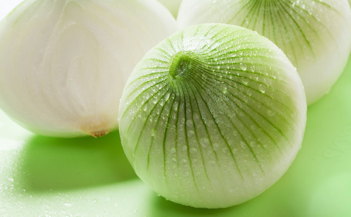 今が旬の「新玉ねぎ」。素材の味を生かした簡単レシピ3品