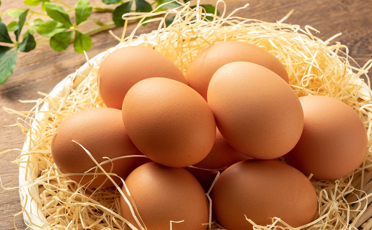 シンプルだけど即ローテ入り。「卵」が劇的においしくなるレシピ3品