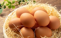 シンプルだけど即ローテ入り。「卵」が劇的においしくなるレシピ3品