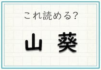 【毎日脳トレ】難読漢字クイズ：「山葵」の読み方わかる？