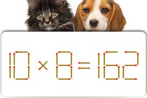 【マッチ棒パズル】ちょっと難問？「10×8＝162」マッチ棒を1本動かして正しい式にしましょう【毎日脳トレ】