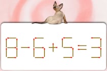この式どこがおかしい？「8-6+5=3」マッチ棒クイズに挑戦しよう！【毎日脳トレ】【クイズ】