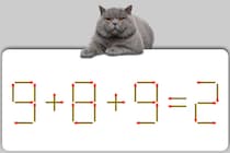 【マッチ棒パズル】難問に挑戦！「9＋8＋9＝2」正しい式にしてみよう【毎日脳トレ】