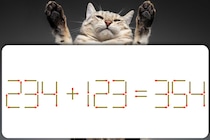 【マッチ棒パズル】1本だけ移動させて「234＋123＝354」を正しい式にできるかな【毎日脳トレ】