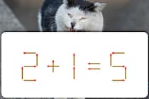 マッチ棒クイズでスッキリ♪「2＋1＝5」マッチ棒を1本動かして正しい式にしましょう【毎日脳トレ】
