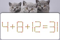 挑戦！マッチ棒クイズ♪1本を動かして「4＋8＋12＝31」を正しくできる？【毎日脳トレ】