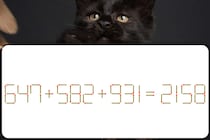 【マッチ棒パズル】上級レベル！「647＋582＋931＝2158」1本動かして正しくできますか？【毎日脳トレ】
