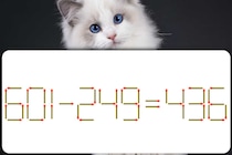 【マッチ棒パズル】マッチ棒1本だけ動かして「601－249＝436」を正しい式にできる？【毎日脳トレ】
