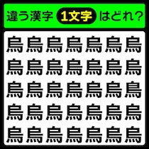 似ているけど違うよ！漢字間違い探しで脳トレに挑戦【毎日脳トレ】【クイズ】