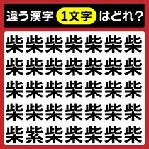 【間違い探し】たった1つ違う漢字はどれ？制限時間は10秒♪【毎日脳トレ】