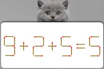 マッチ棒クイズに挑戦しよう「9+2+5=5」正しい式にできる？【毎日脳トレ】【クイズ】