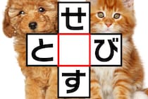 制限時間なし！「せ○す」「と○び」どんどん言葉を考えよう♪【毎日脳トレ】【クイズ】