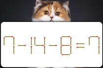 【マッチ棒パズル】動かせるのは1本だけ！「7－14－8=7」何秒で解けるかな？【毎日脳トレ】
