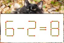 【マッチ棒パズル】サッと解いてみよう！「6－2=8」【毎日脳トレ】