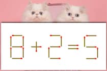 【マッチ棒パズル】1本だけ動かして正しい式にしましょう「8＋2＝5」【毎日脳トレ】