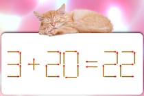 正しい式にしてね！「3+20=22」マッチ棒クイズに挑戦！【毎日脳トレ】【クイズ】