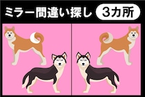 何秒で見つけられる？間違い探しで脳トレ！【毎日脳トレ】【クイズ】