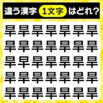 間違い探しに挑戦！違う漢字はどれ？【毎日脳トレ】