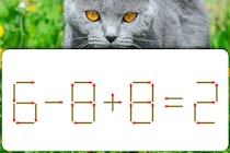 【マッチ棒パズル】動かせるのは1本だけ！「6－8＋8=2」何秒で解けるかな？【毎日脳トレ】