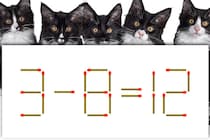 【マッチ棒パズル】正しい式にできる？「3－8＝12」【毎日脳トレ】