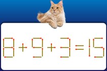 【マッチ棒パズル】マッチ棒1本だけ動かそう！「8＋9＋3＝15」正しい式にできる？【毎日脳トレ】
