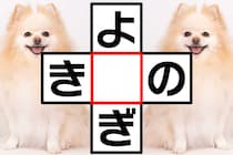 クロスワードに挑戦！「よ○ぎ」「き○の」共通する文字は？【毎日脳トレ】【クイズ】
