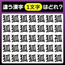 【間違い探し】違う文字を探そう！何秒で見つけられるかな？【毎日脳トレ】