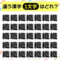 直感で見つけたら超人！漢字間違い探し♪【毎日脳トレ】【クイズ】